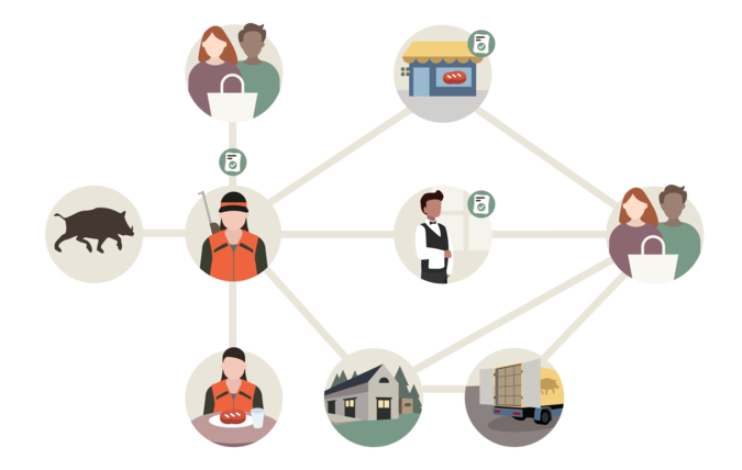 Översikt av de olika leveransvägar som finns av vildsvin till konsument.